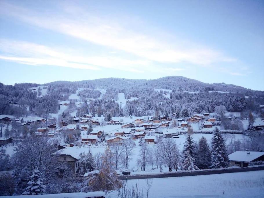 Apartament Pied-A-Terre Cosy Face Aux Pistes De La Princesse Demi-Quartier Zewnętrze zdjęcie