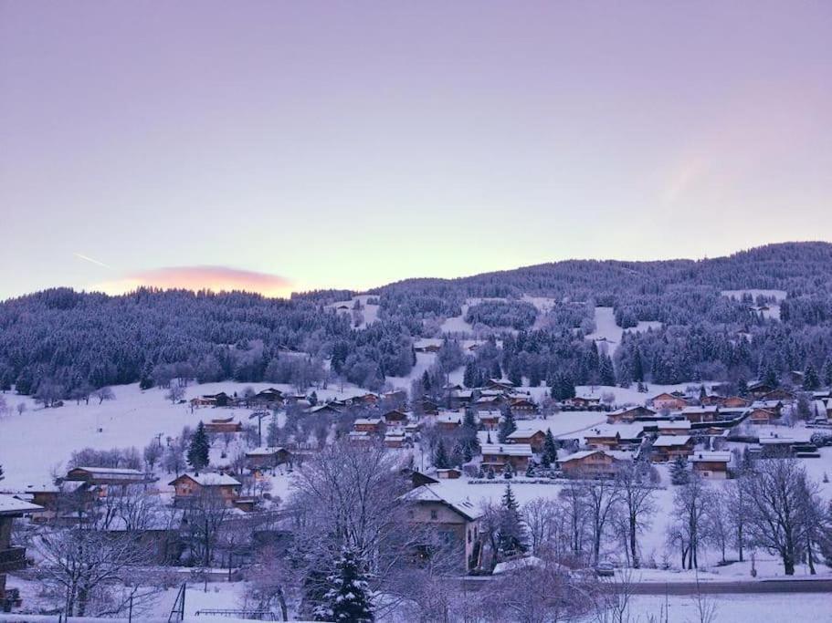 Apartament Pied-A-Terre Cosy Face Aux Pistes De La Princesse Demi-Quartier Zewnętrze zdjęcie
